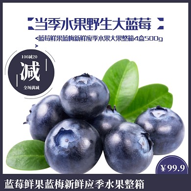 简约夏季水果蓝莓电商主图