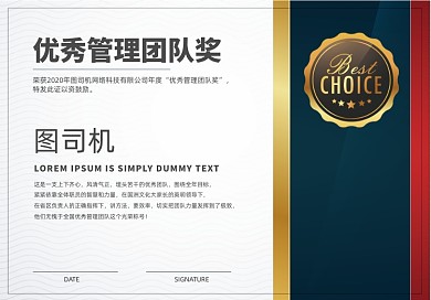 优秀管理团队奖年终奖荣誉证书
