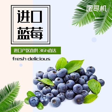 浅色简约风水果进口蓝莓电商主图