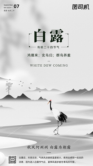 传统节气白露手机海报