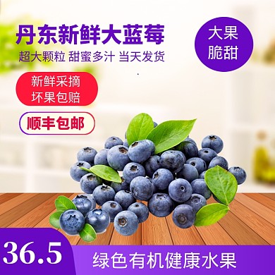 美味健康生鲜水果蓝莓直通车