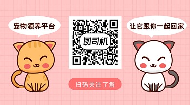 创意趣味卡通可爱宠物公众号二维码