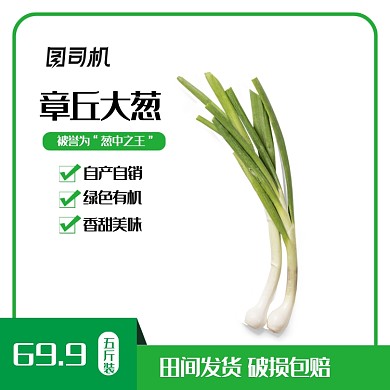 绿色简约大葱蔬菜生鲜农产品主图