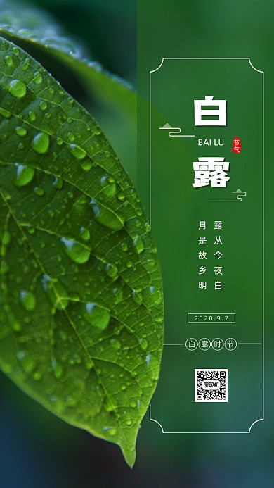 二十四节气白露清新手机海报