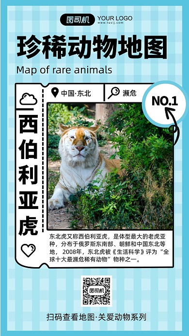 濒临动物简约少儿科普系列手机海报