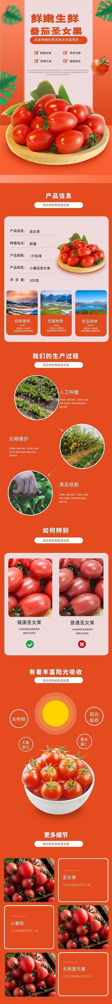小番茄圣女果西红柿夏季蔬菜详情页