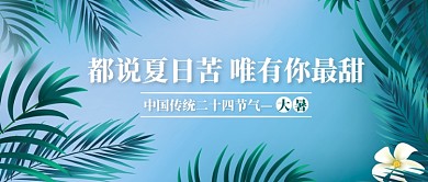 大暑传统节气文艺清新公众号首图