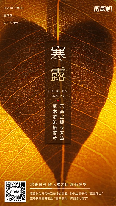 寒露节气文艺清新黄叶特写手机海报