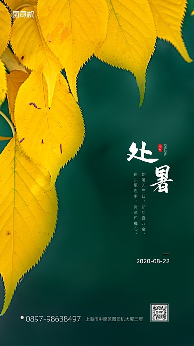 处暑节气简约摄影图手机海报