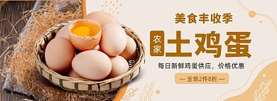丰收季农家农产品土鸡蛋促销海报