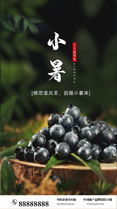 简约蓝莓摄影海报小暑节气