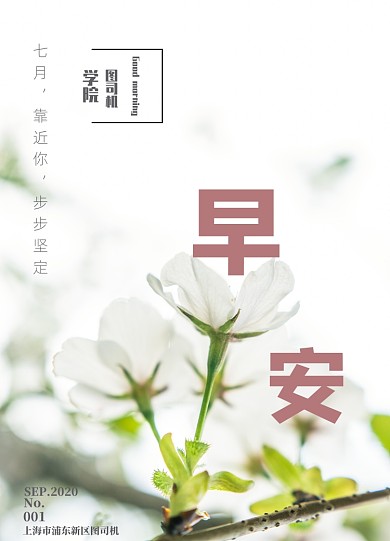 简约樱花树留白摄影图