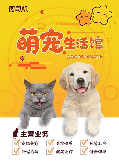 宠物黄色可爱店铺海报
