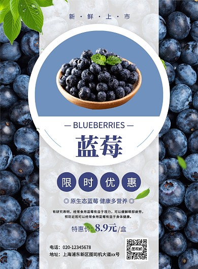 大气简约创意蓝莓促销海报