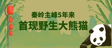 秦岭主峰首现大熊猫公众号首图