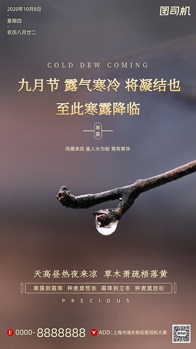 寒露节气露水树枝摄影图手机海报