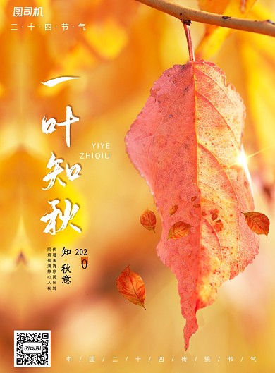 简约二十四节气立秋一叶知秋宣传海报