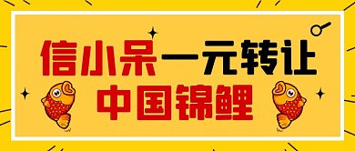 信小呆转让锦鲤热点公众号首图