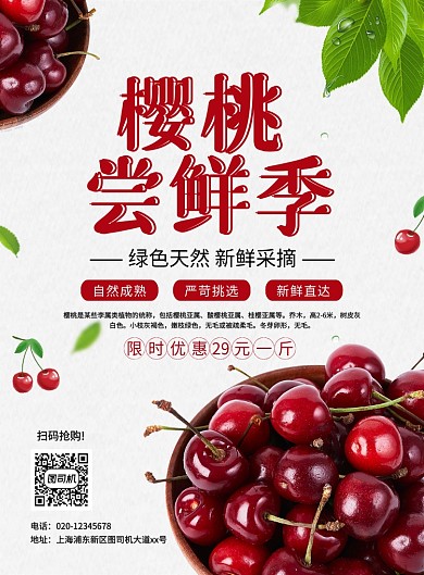 大气简约创意樱桃尝鲜季促销宣传海报