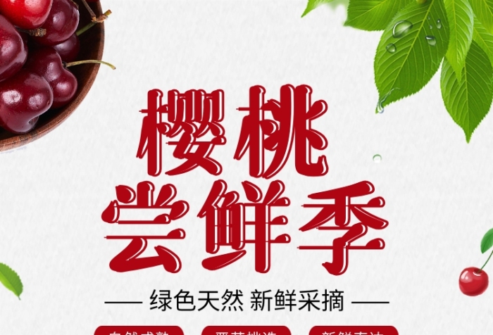 大气简约创意樱桃尝鲜季促销宣传海报