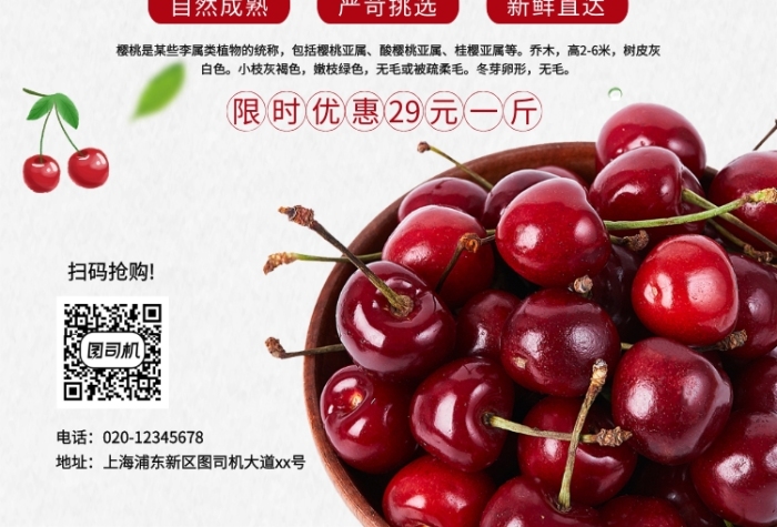 大气简约创意樱桃尝鲜季促销宣传海报