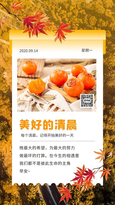 美好的清晨简约摄影图日签手机海报