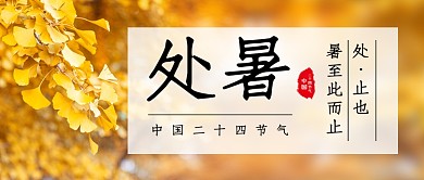 处暑节气简约实景摄影图公众号首图