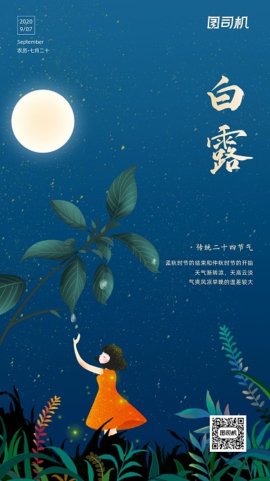 传统节气白露手机海报