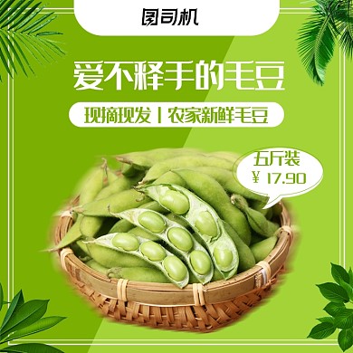 清凉风夏季美食节农产品毛豆蔬菜丰收季主图