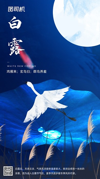 蓝色插画文艺白露节气手机海报