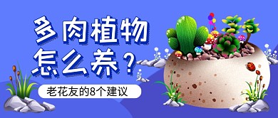 蓝色多肉植物花卉养殖公众号首图