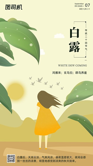 传统节气白露手机海报