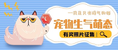 宠物生气照片征集