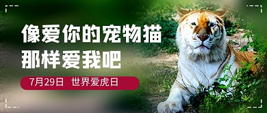 世界爱虎日简约老虎公众号首图