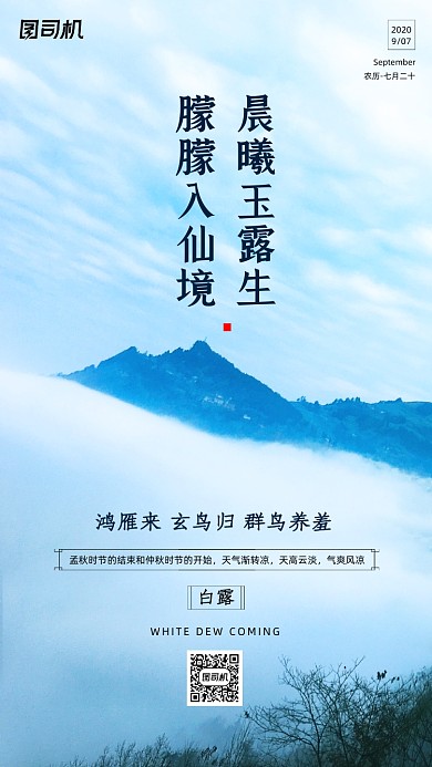传统节气白露手机海报
