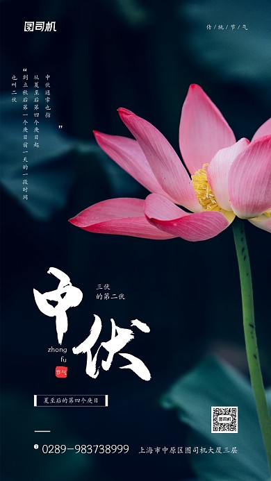 中伏节气简约荷花宣传手机海报