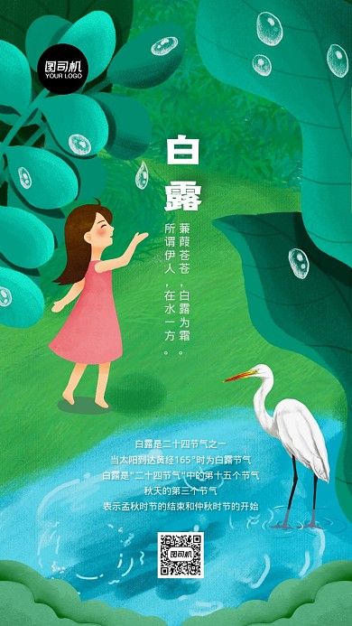 白露节气简约插画风格海报