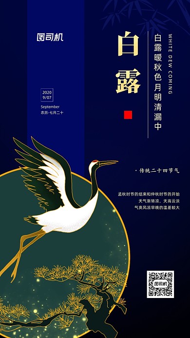 白露二十四节气中国风手机海报