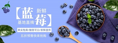 夏季新鲜水果蓝莓促销banner