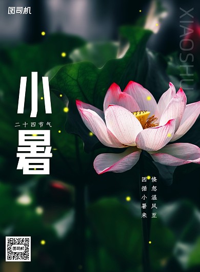 简约中国传统二十四节气小暑海报