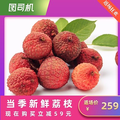 国庆618荔枝车厘子芒果榴莲水果主图