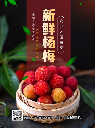 杨梅上市印刷海报
