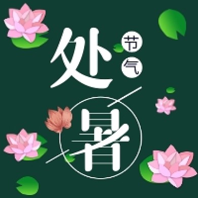 处暑节气简约插画公众号次图