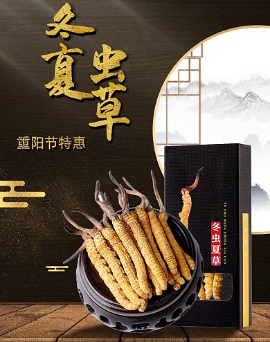 重阳节活动冬虫夏草滋补保健品海报