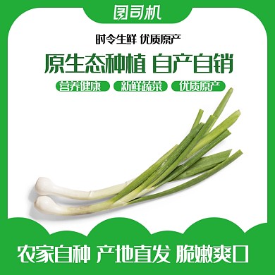 绿色简约大葱蔬菜生鲜农产品主图
