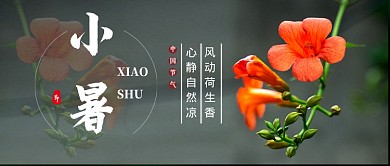 小暑节气黑色简约花朵新媒体配图