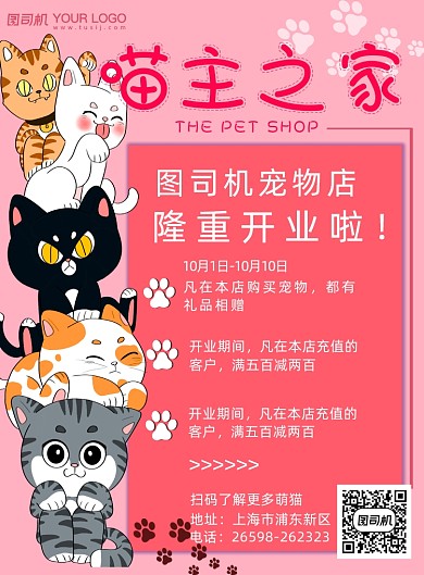 宠物店可爱猫咪海报