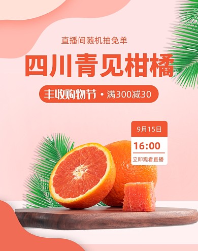 简约柑橘直播水果购物节福利海报