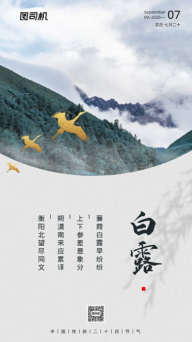 传统节气白露手机海报