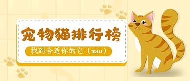 宠物猫排行榜单公众号首图